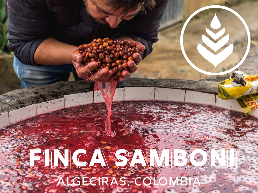 FINCA SAMBONI