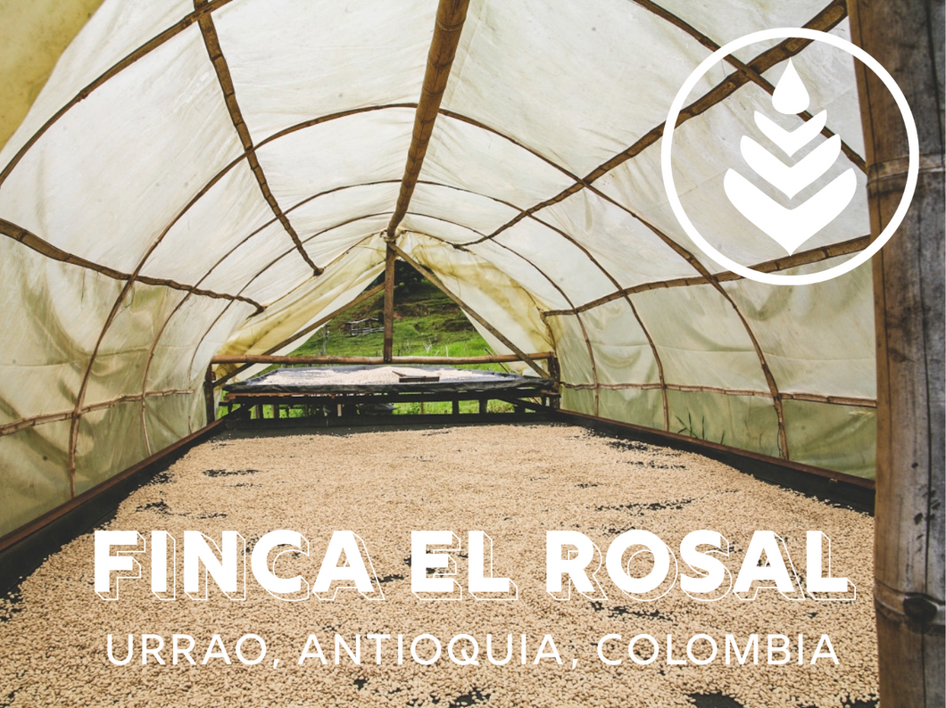 FINCA EL ROSAL