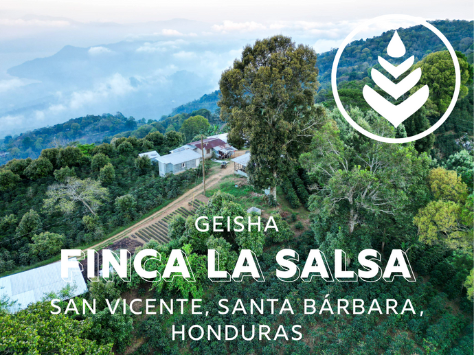 FINCA LA SALSA