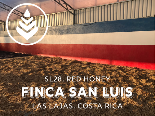 FINCA SAN LUIS