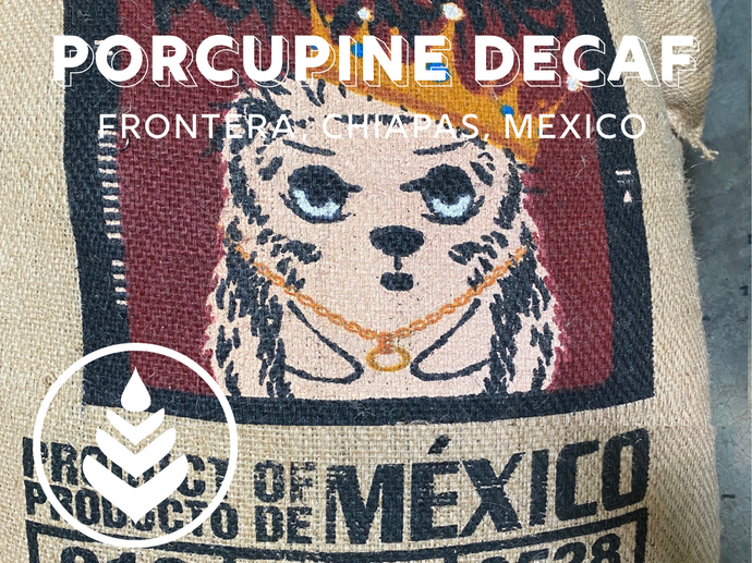 PORCUPINE DECAF