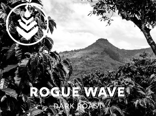 ROGUE WAVE