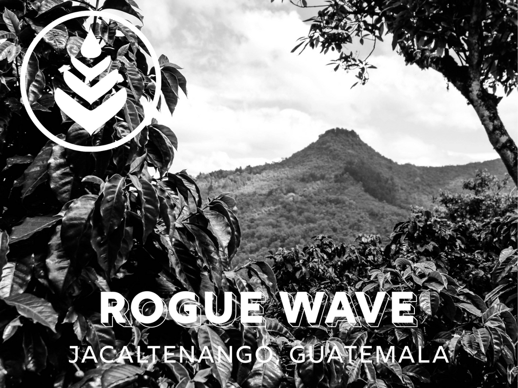 ROGUE WAVE